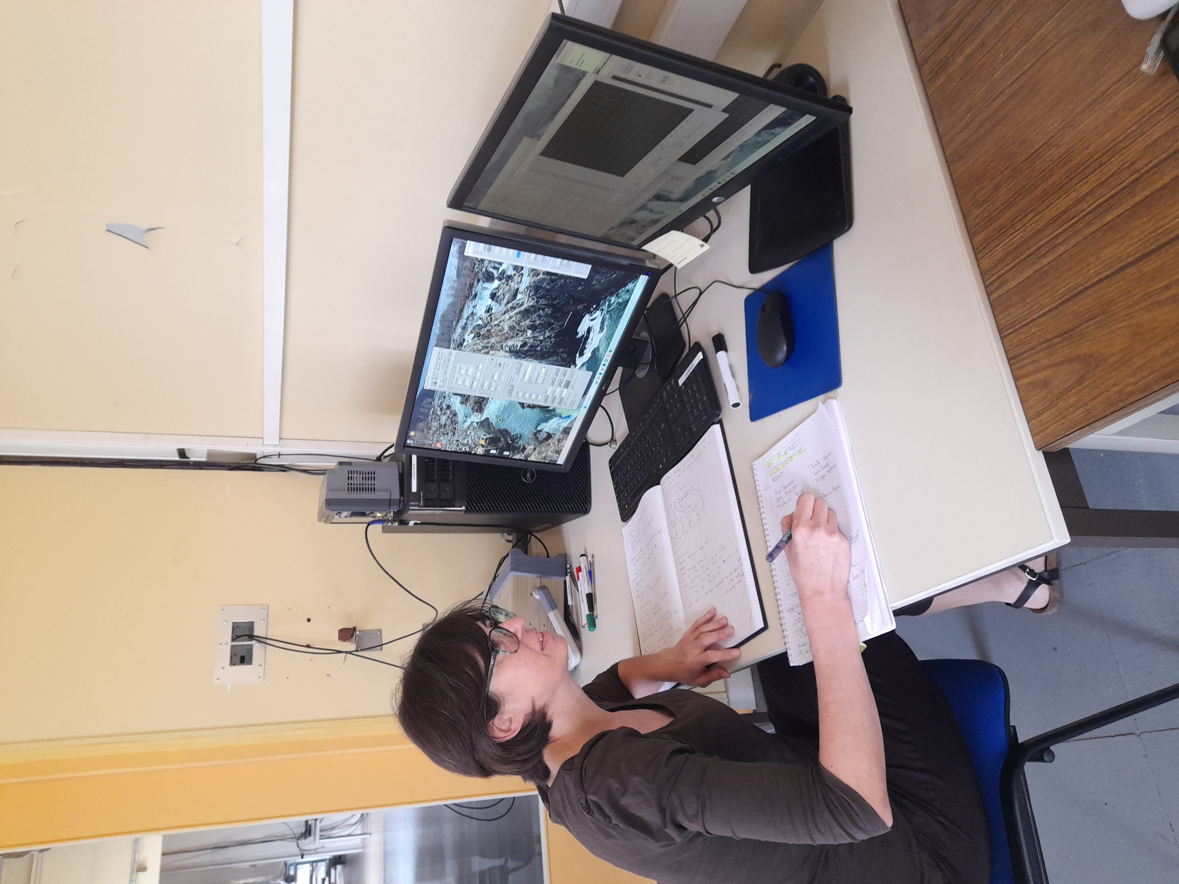 Yolanda Gomez-Martinez YGM at work